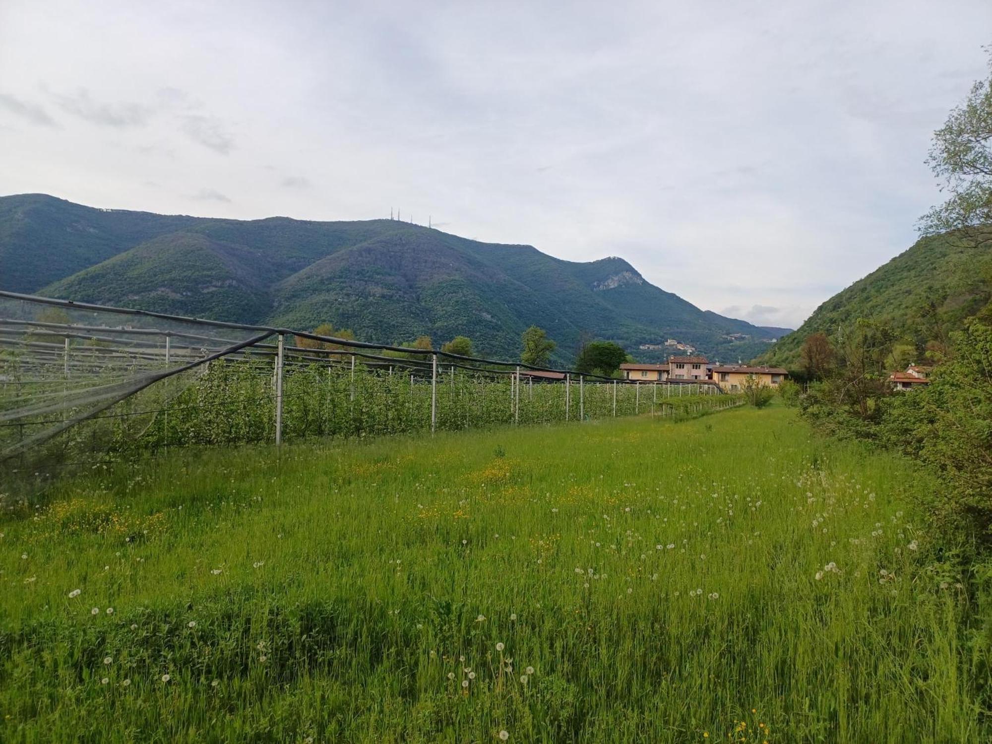 Cascina Legnago Trilocale A 6 Chilometri Da Salo' Apartman Villanuova sul clisi Kültér fotó